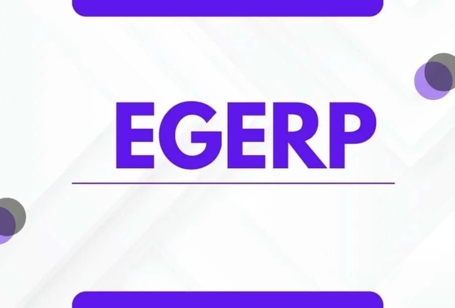 "EGERP Panipat: Your Pathway to Success in Software Solutions"